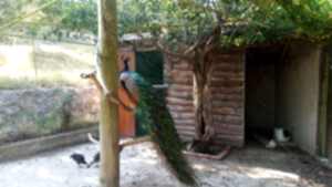 20150714_170817
